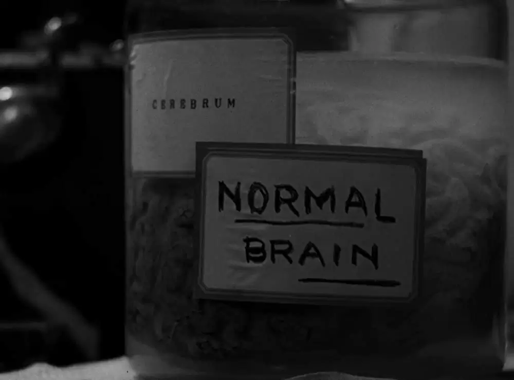 フランケンシュタインの画像