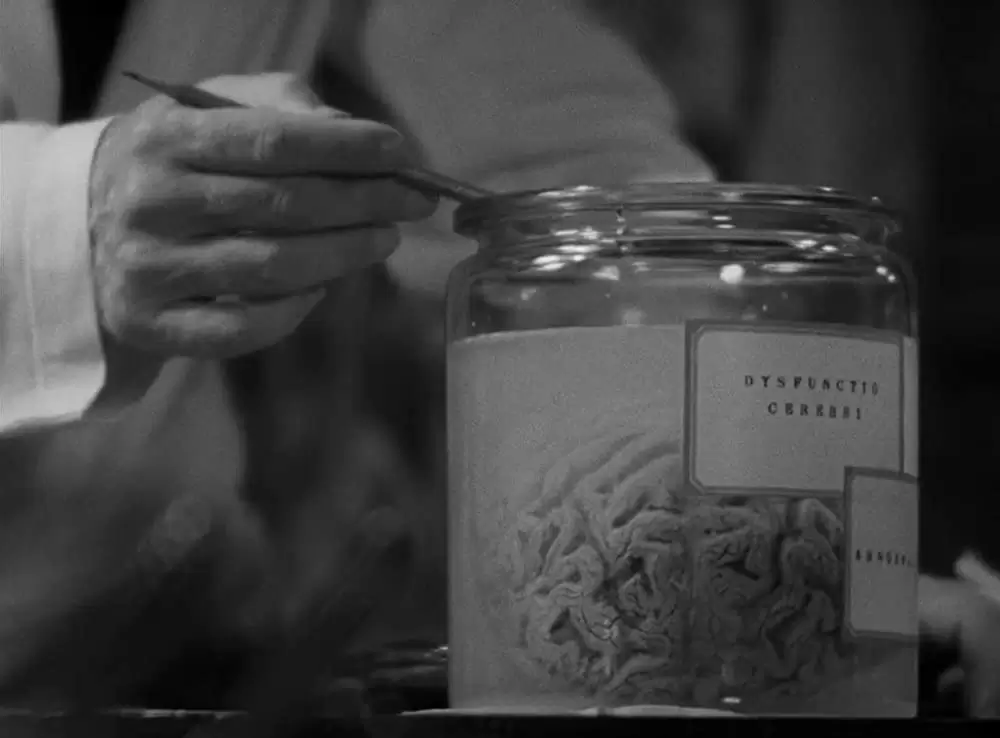 フランケンシュタインの画像