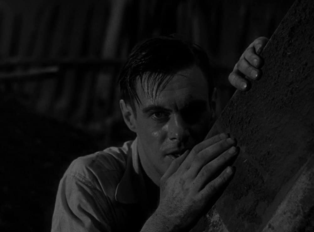 フランケンシュタインの画像