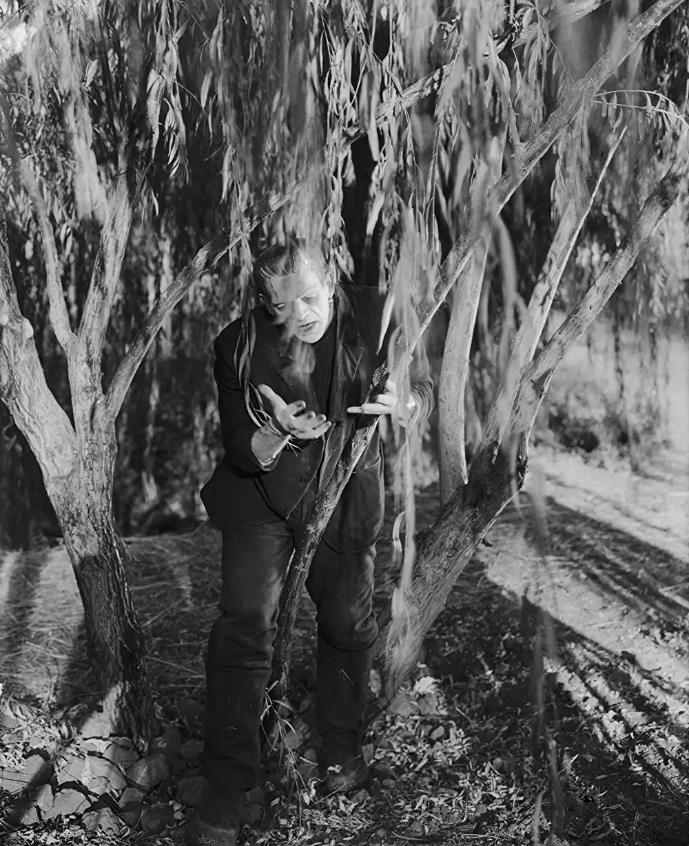 フランケンシュタインの画像