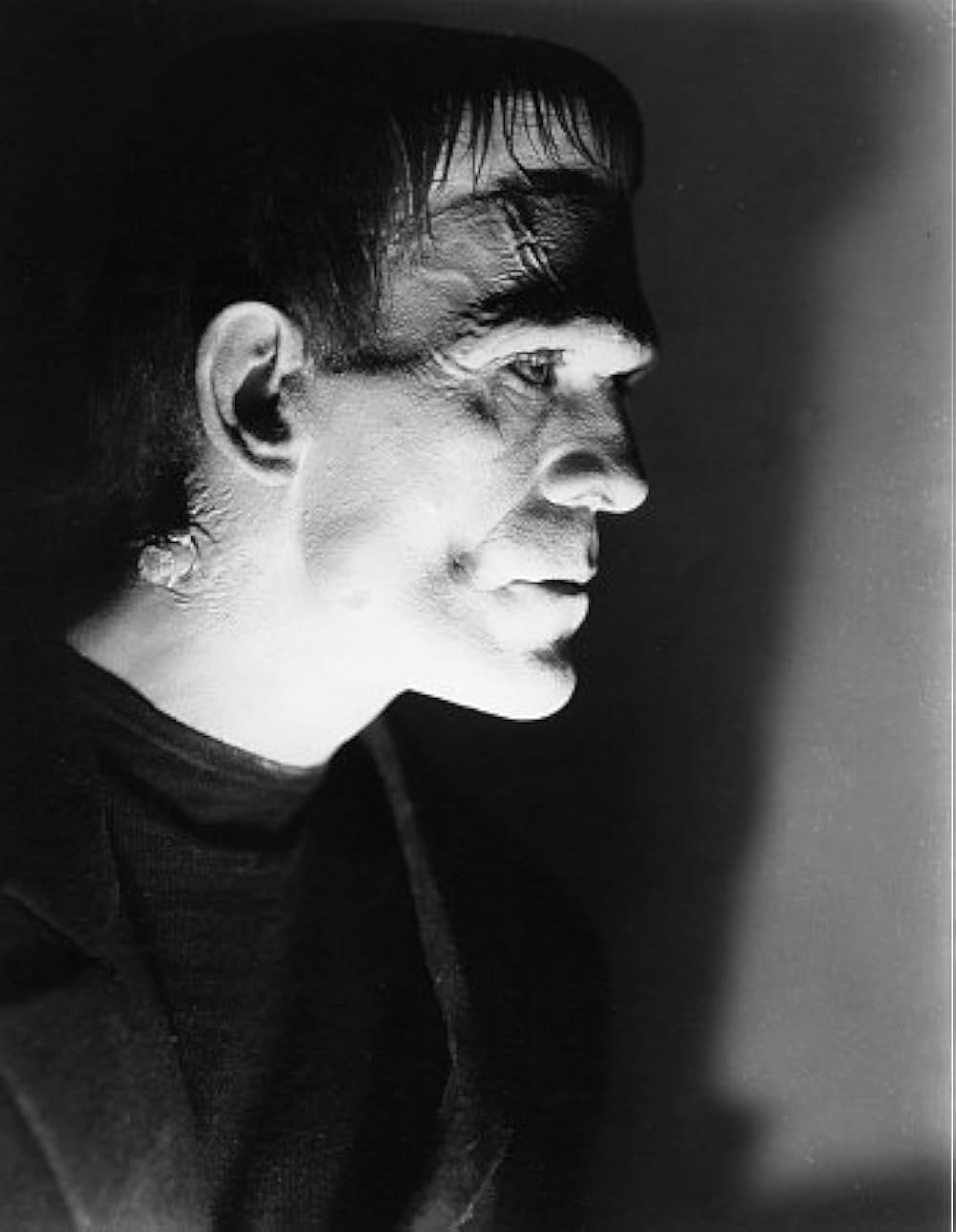 フランケンシュタインの画像