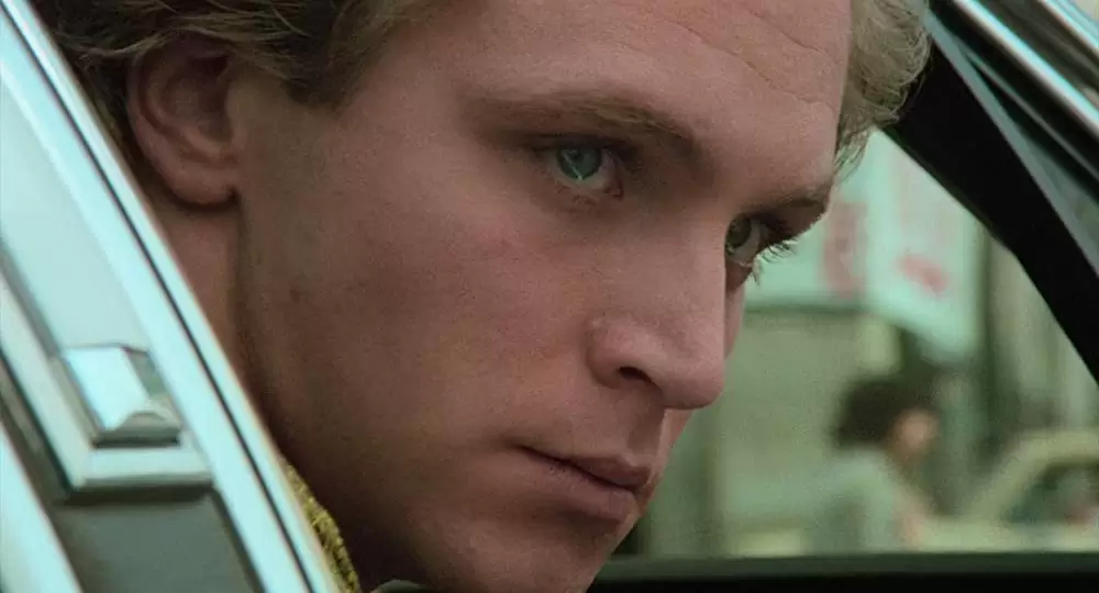 レッドブルの画像