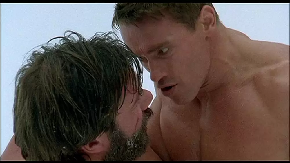 レッドブルの画像