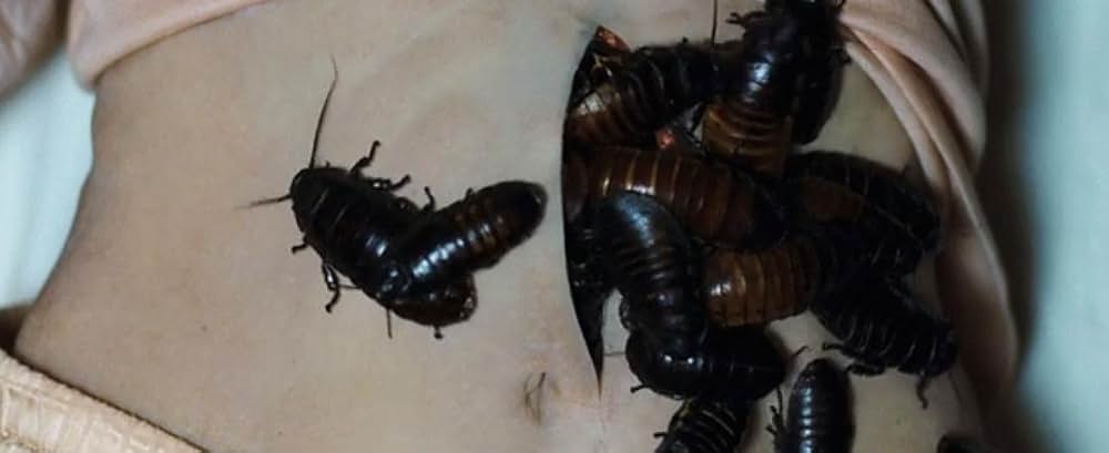 「グッドナイト・マミー」の画像