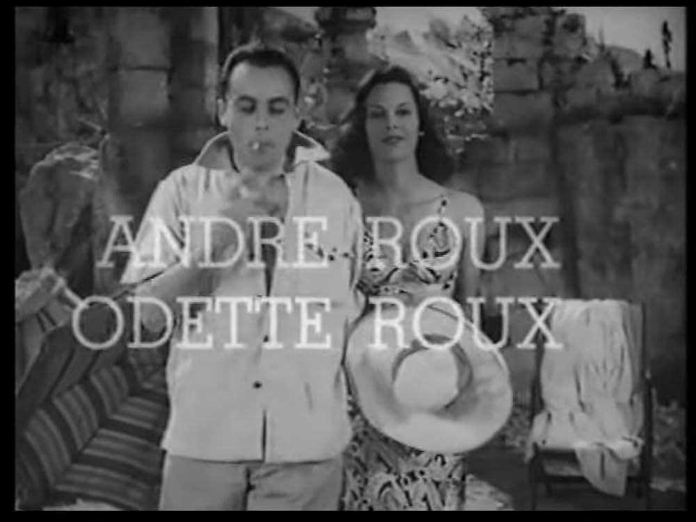 あるスパイの末路の写真