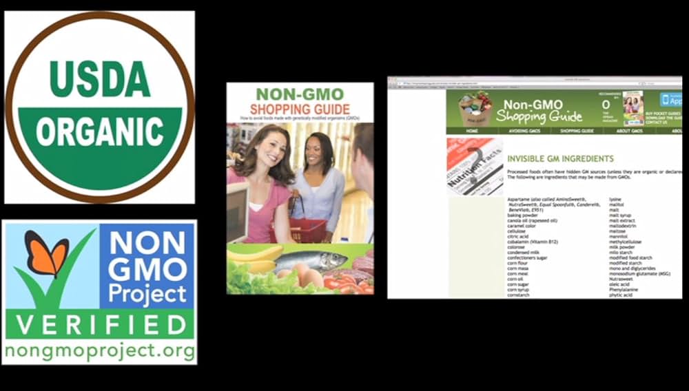 遺伝子組み換えルーレット ―私たちの生命のギャンブルの画像