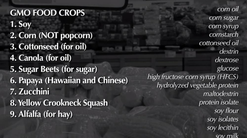 遺伝子組み換えルーレット ―私たちの生命のギャンブルの写真