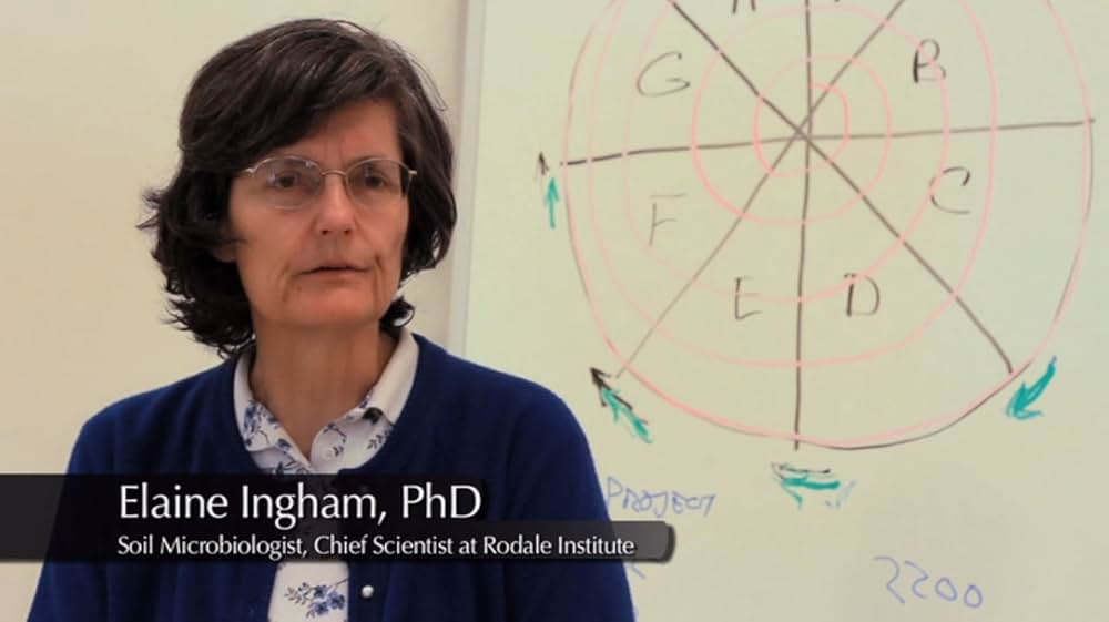 遺伝子組み換えルーレット ―私たちの生命のギャンブルの画像