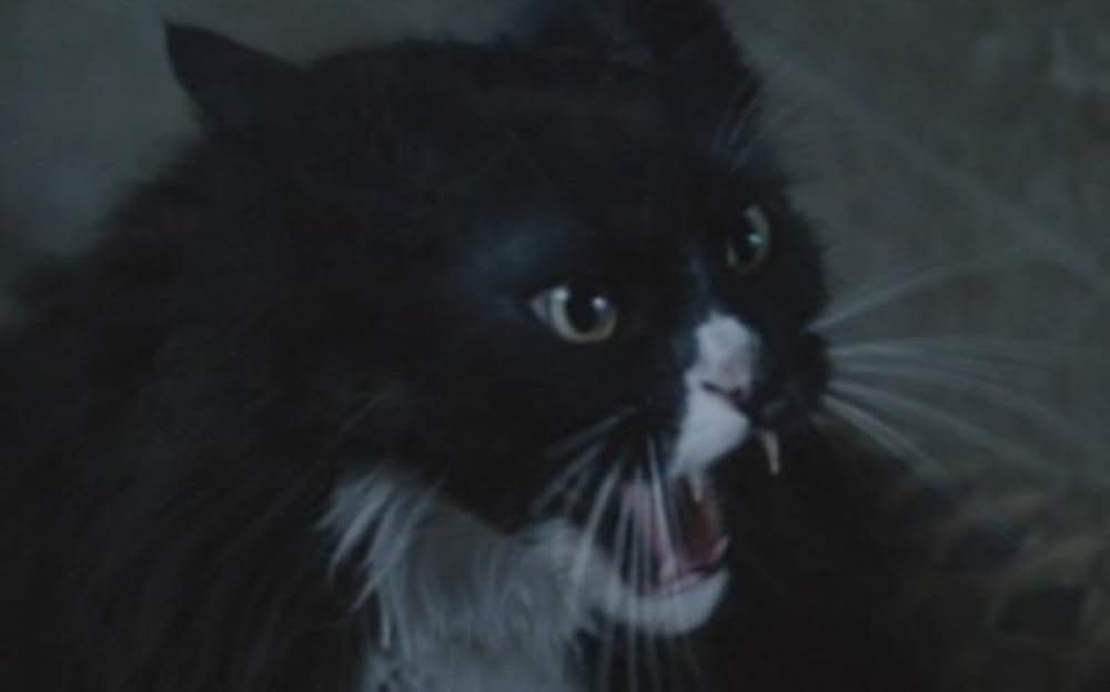 ハンガー・ゲームの画像