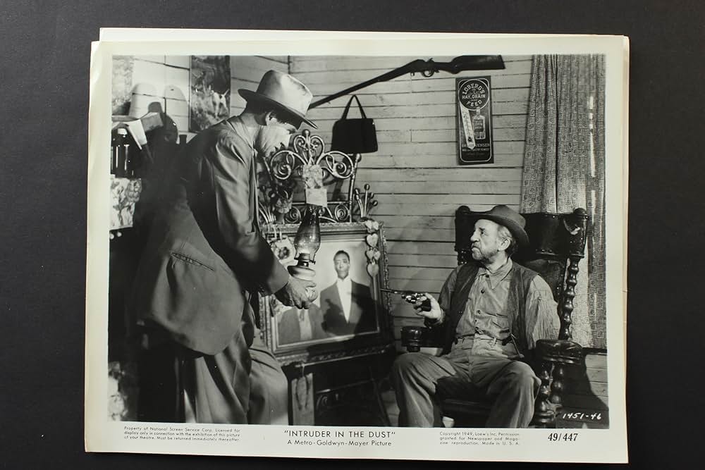 Intruder in the Dust（原題）の画像