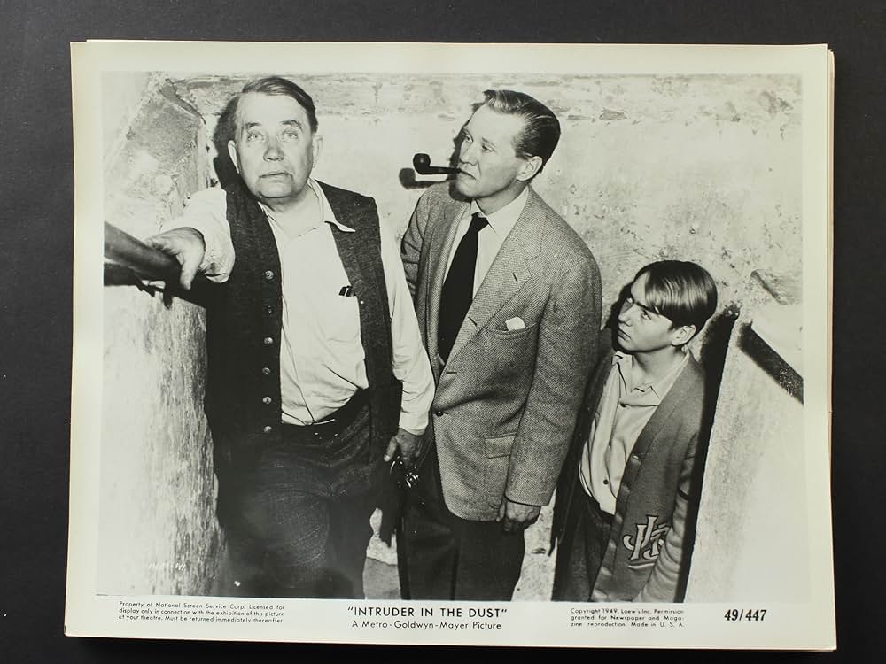 Intruder in the Dust（原題）の画像