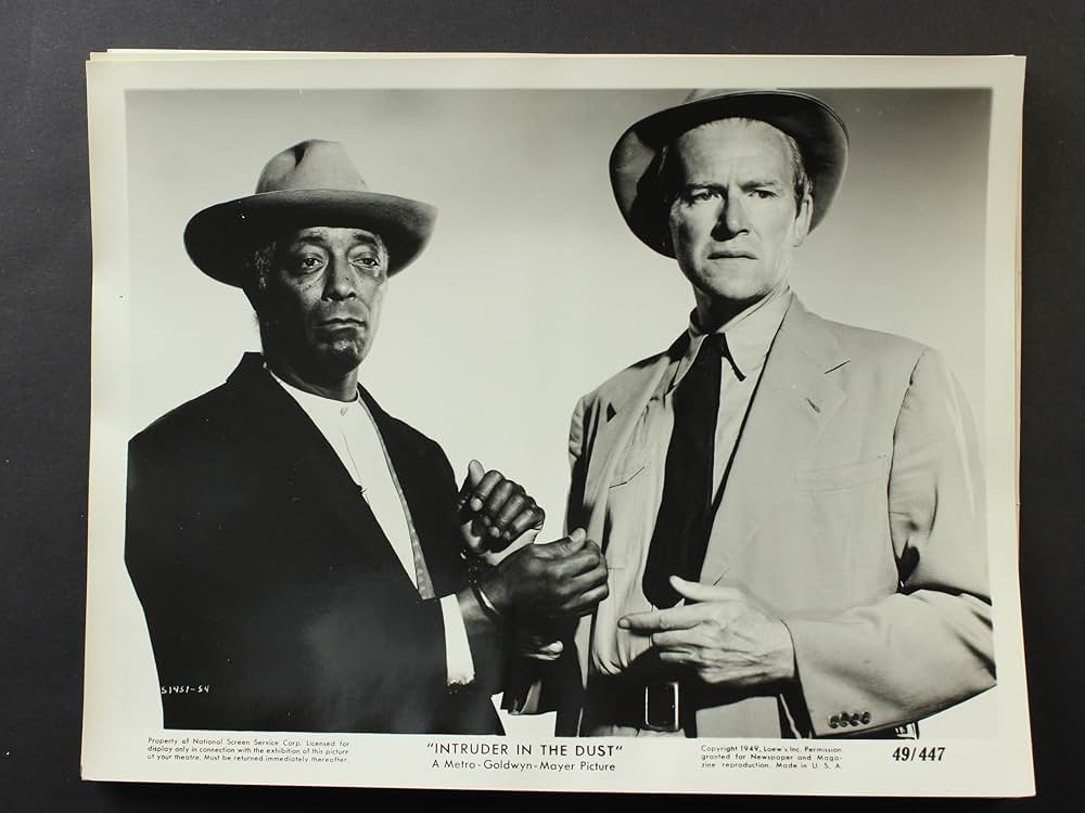 Intruder in the Dust（原題）の画像