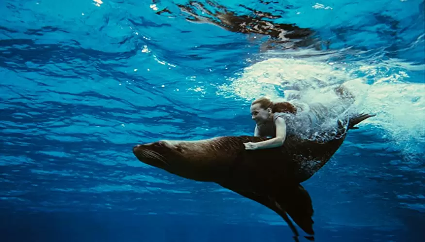 「幸せの1ページ」アビゲイル・ブレスリンの画像