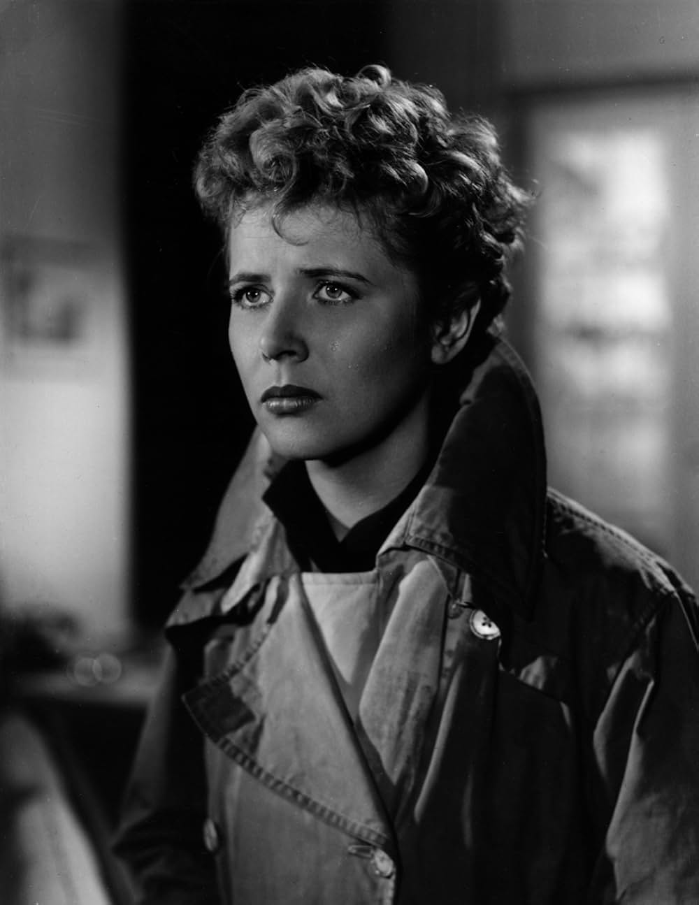 The Divided Heart（原題）の画像