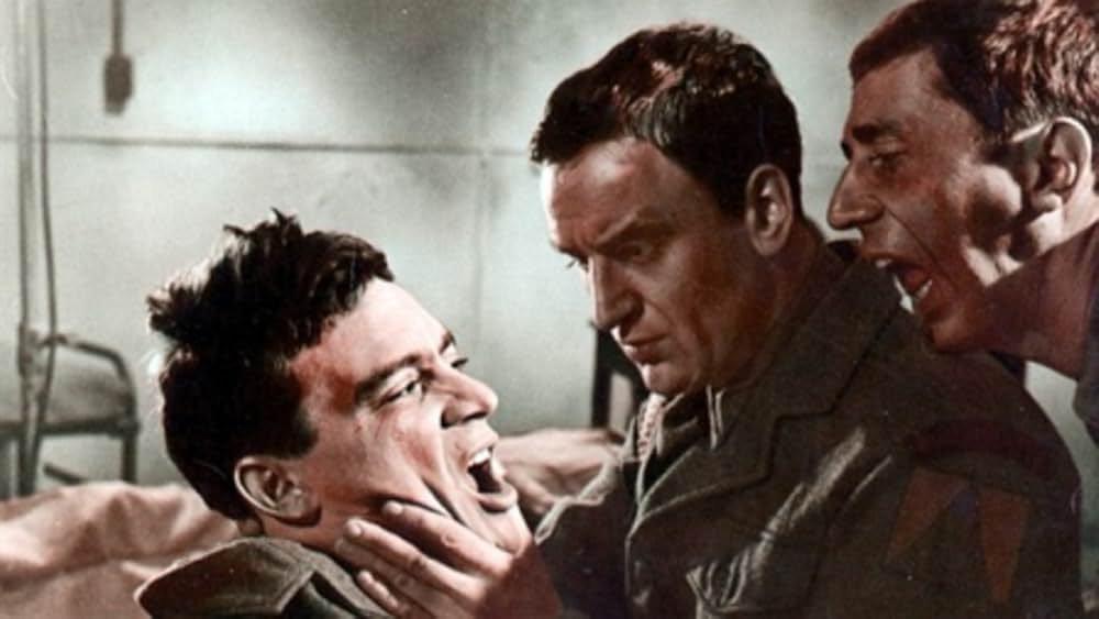 The Bofors Gun（原題）の画像