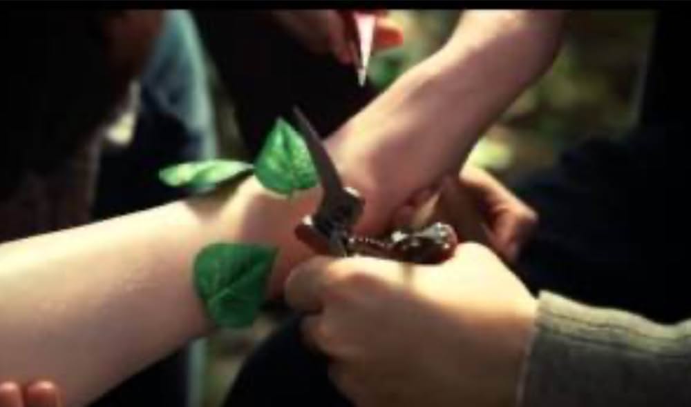 ティモシーの小さな奇跡の画像