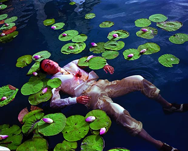 落下の王国の画像