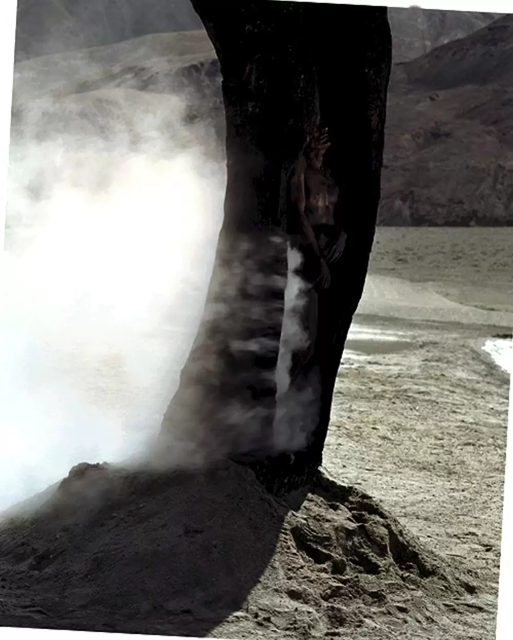 「落下の王国」ジュリアン・ブリーチの画像