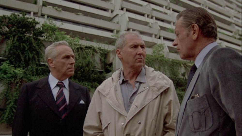 テロリスト・黒い九月の画像