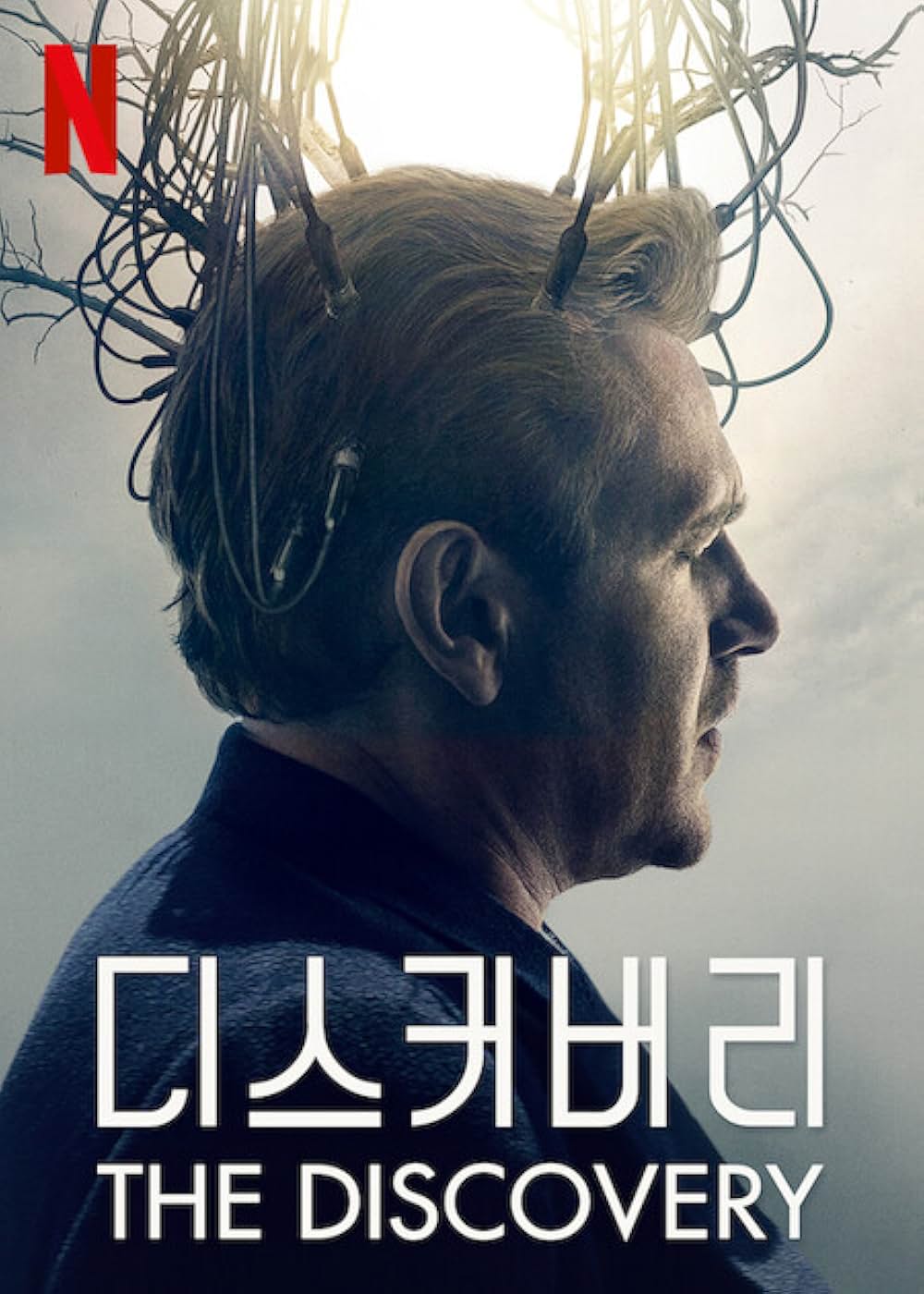 ザ・ディスカバリーの画像