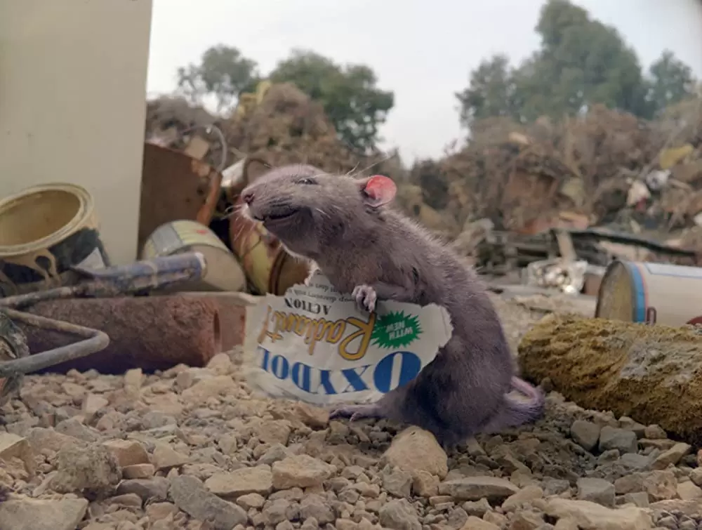 シャーロットのおくりものの画像