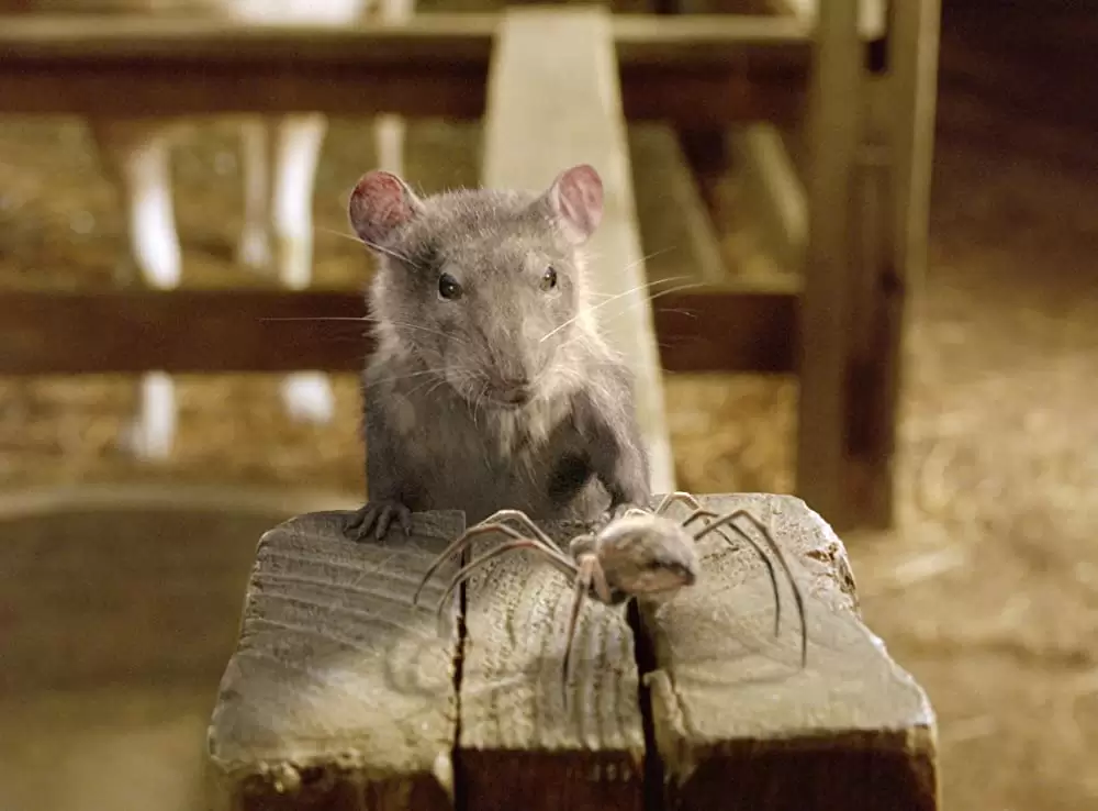 シャーロットのおくりものの画像