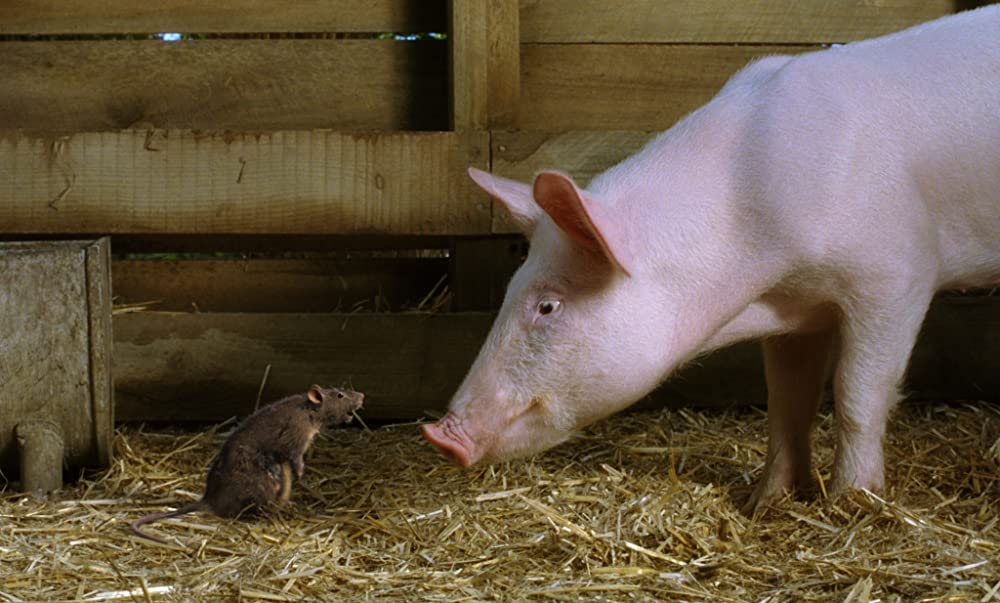 シャーロットのおくりものの画像