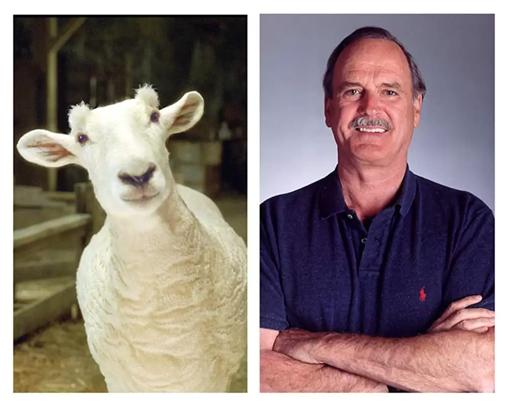 シャーロットのおくりものの画像