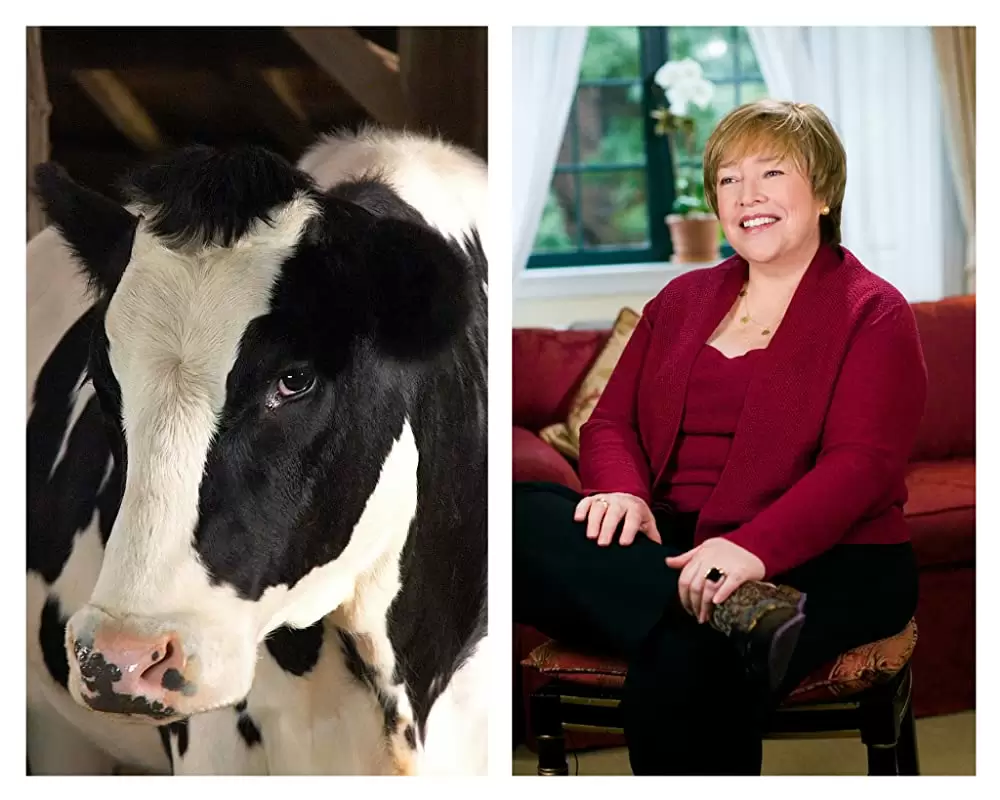 シャーロットのおくりものの画像