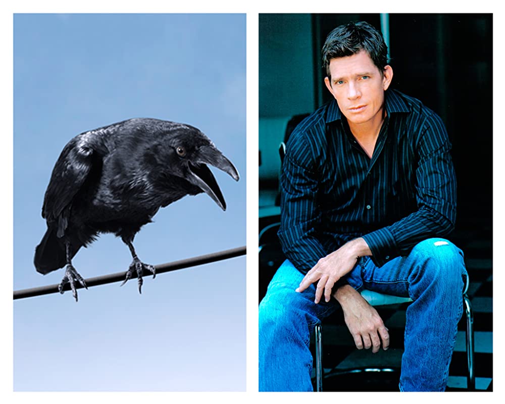 シャーロットのおくりものの画像