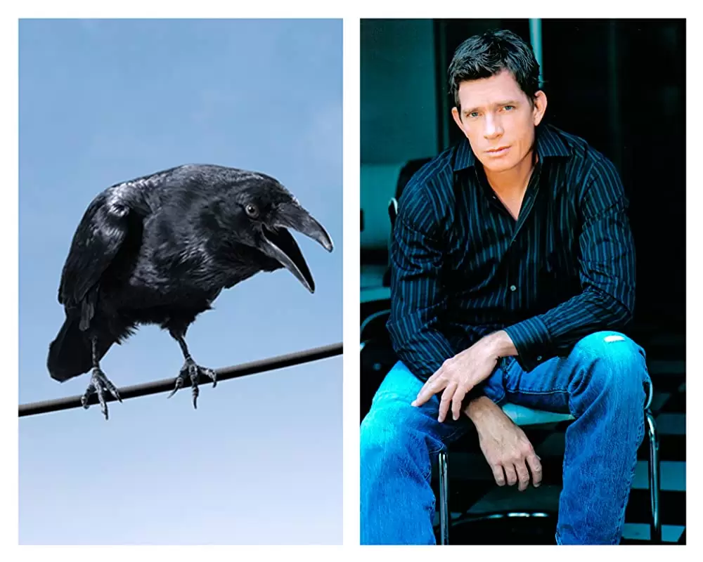 シャーロットのおくりものの画像