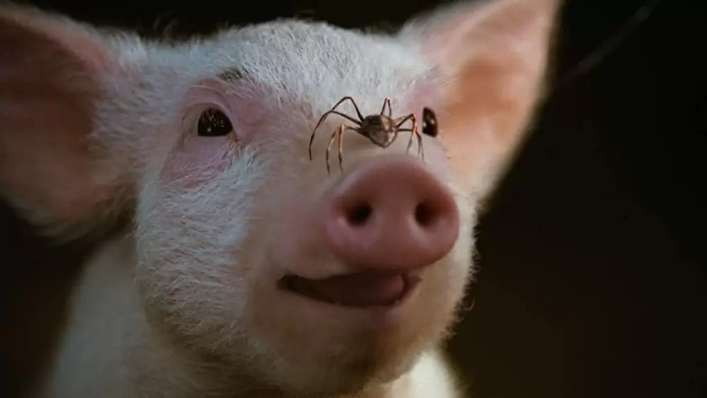 シャーロットのおくりものの画像