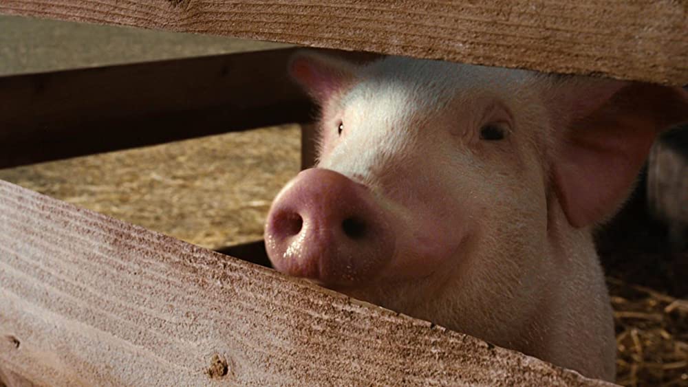 シャーロットのおくりものの画像