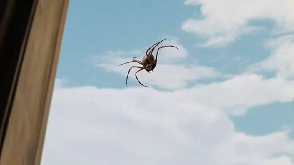 シャーロットのおくりものの画像