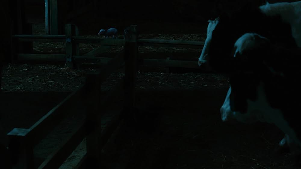 シャーロットのおくりものの画像