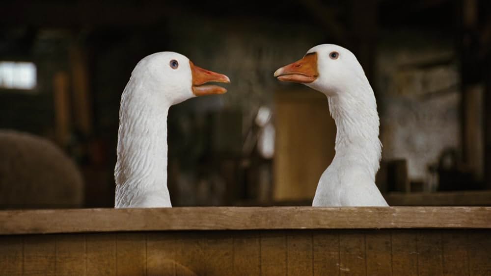 シャーロットのおくりものの画像