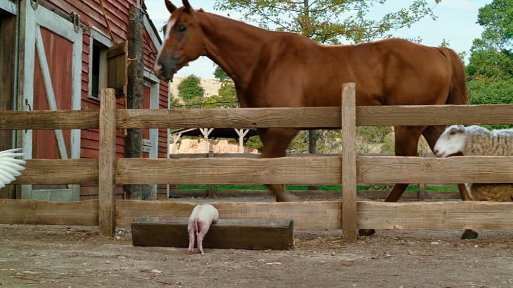 シャーロットのおくりものの画像