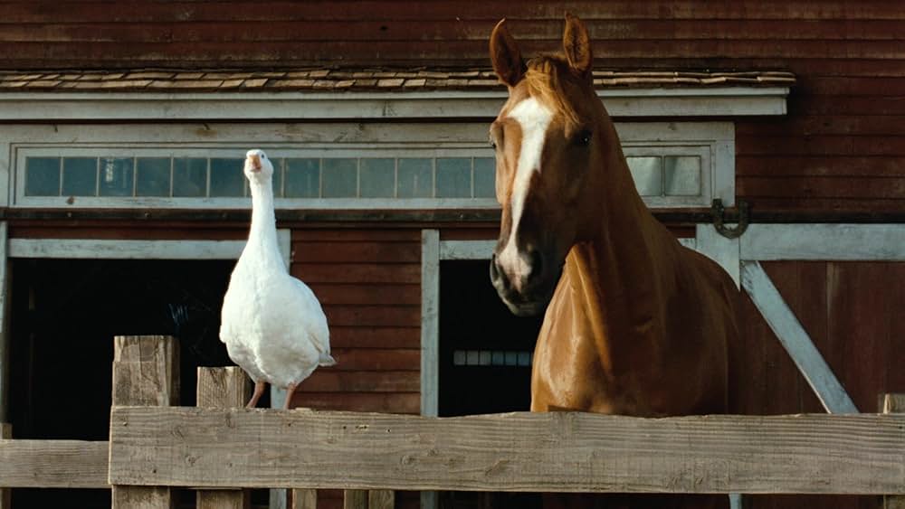 シャーロットのおくりものの画像