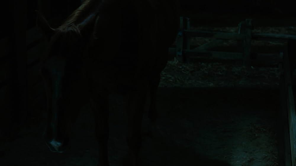 シャーロットのおくりものの画像