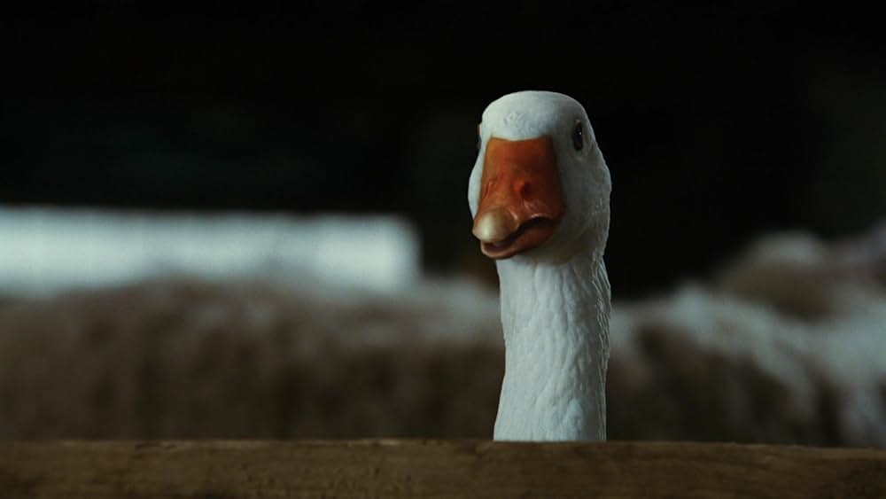 シャーロットのおくりものの画像