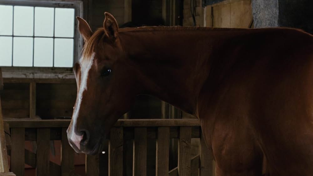 シャーロットのおくりものの画像