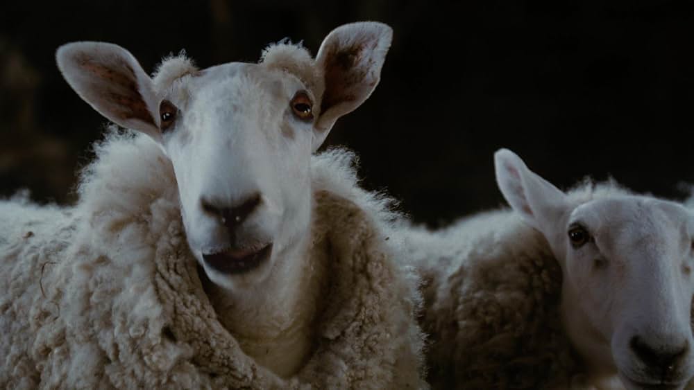 シャーロットのおくりものの画像