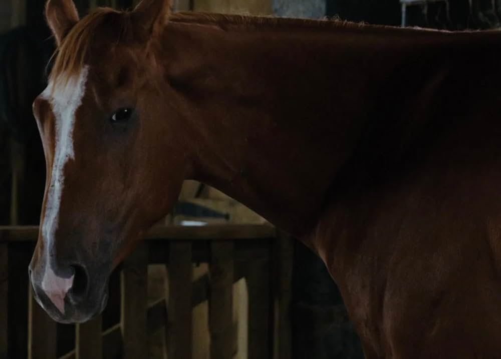 シャーロットのおくりものの画像