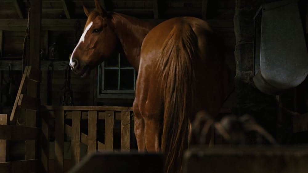 シャーロットのおくりものの画像