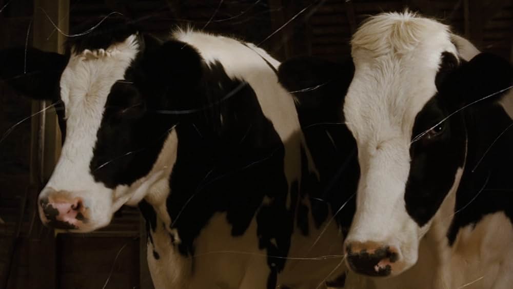 シャーロットのおくりものの画像