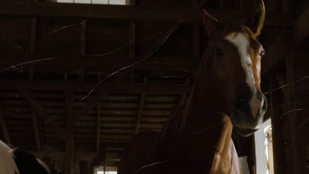 シャーロットのおくりものの画像