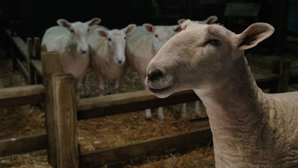 シャーロットのおくりものの画像