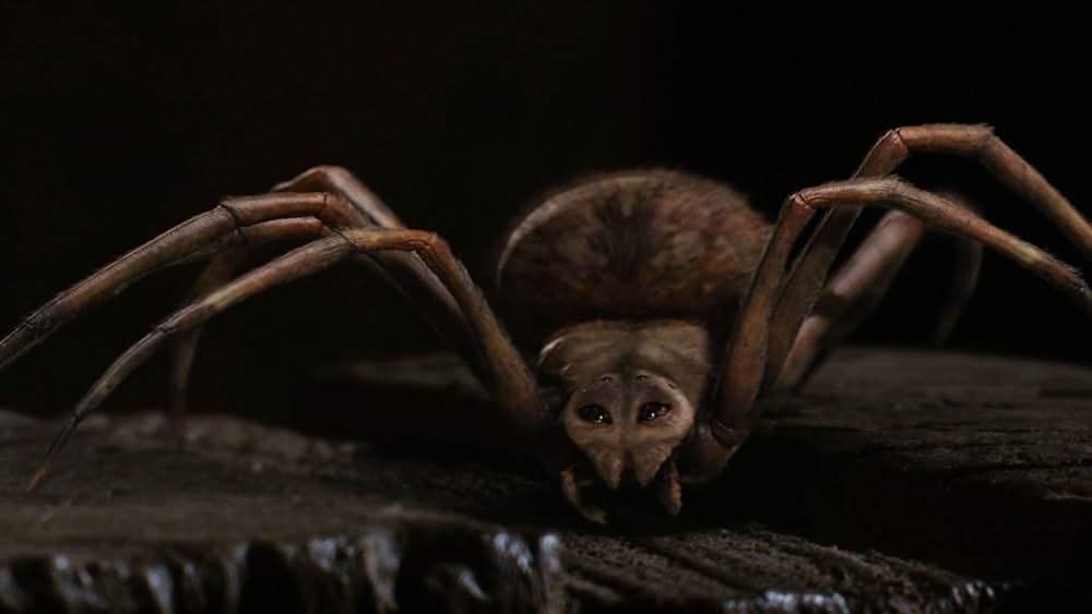 シャーロットのおくりものの画像