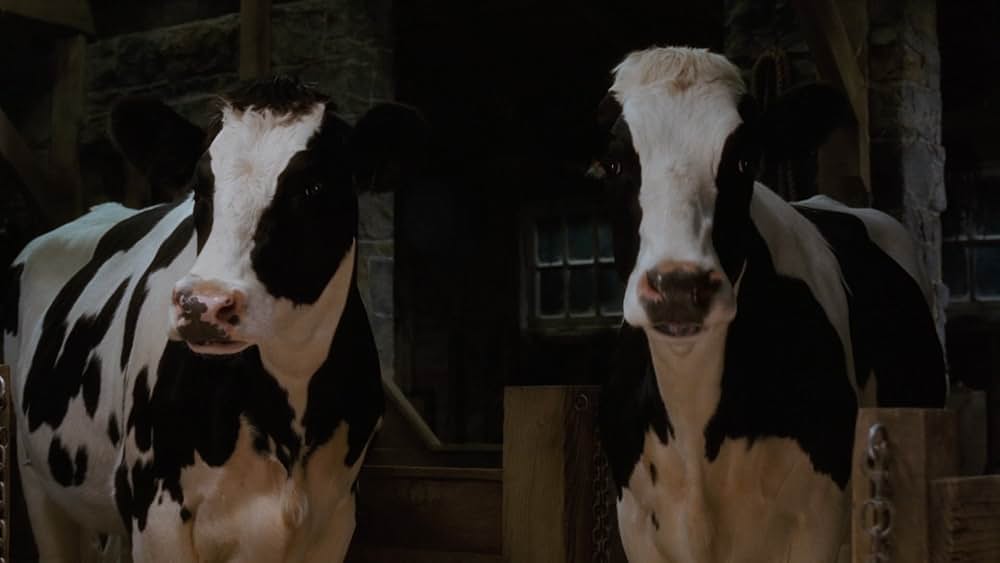 シャーロットのおくりものの画像