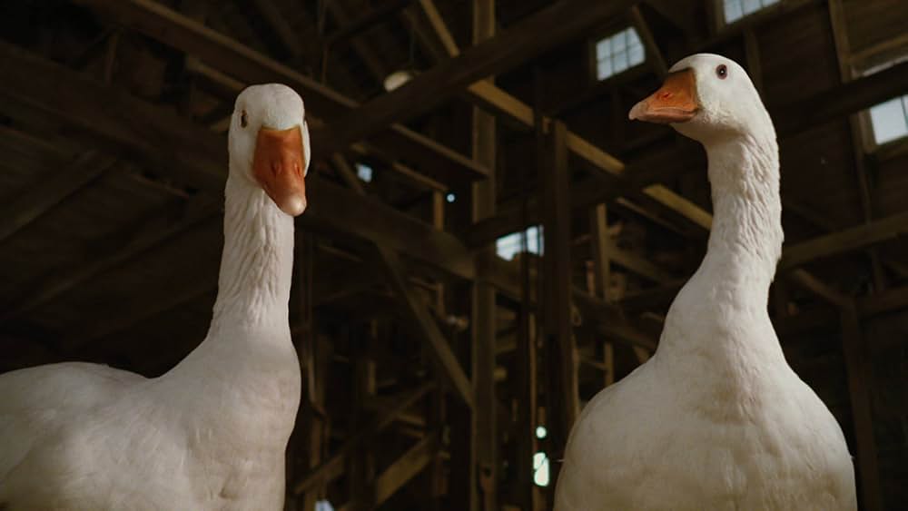 シャーロットのおくりものの画像